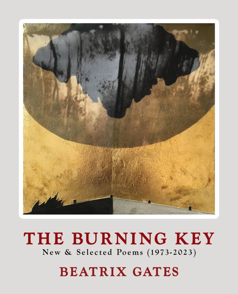 The Burning Key by Bea Gates